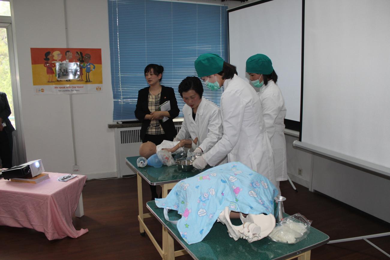 International Day of the Midwife, 5 May, 2016 in Pyongyang